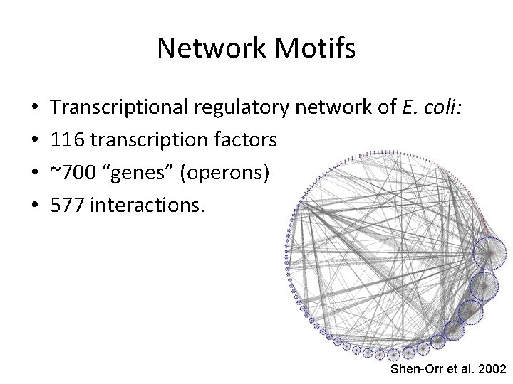 Network Motifs • • Transcriptional regulatory network of E. coli: 116 transcription factors ~700