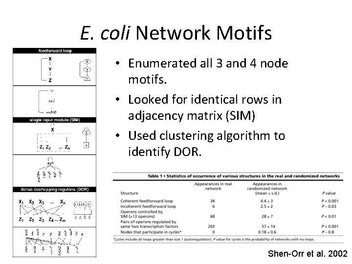 E. coli Network Motifs • Enumerated all 3 and 4 node motifs. • Looked