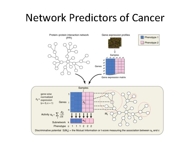 Network Predictors of Cancer 