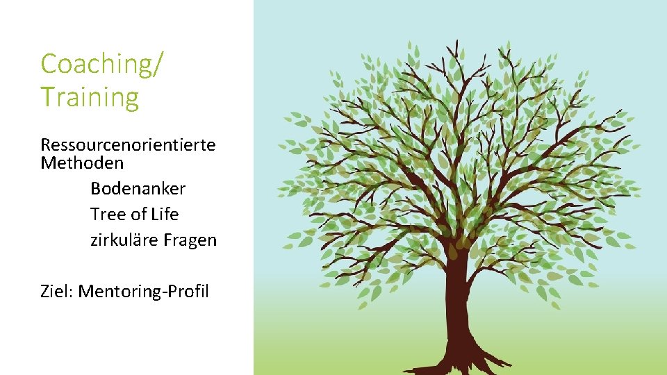 Coaching/ Training Ressourcenorientierte Methoden Bodenanker Tree of Life zirkuläre Fragen Ziel: Mentoring-Profil 