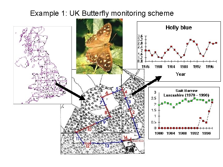 Example 1: UK Butterfly monitoring scheme 