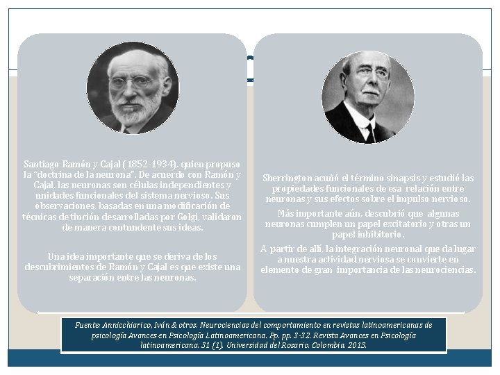 Santiago Ramón y Cajal (1852 -1934), quien propuso la “doctrina de la neurona”. De Santiago Ramón y Cajal (1852 -1934), quien propuso la “doctrina de la neurona”. De