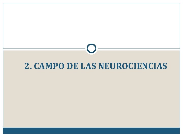 2. CAMPO DE LAS NEUROCIENCIAS 