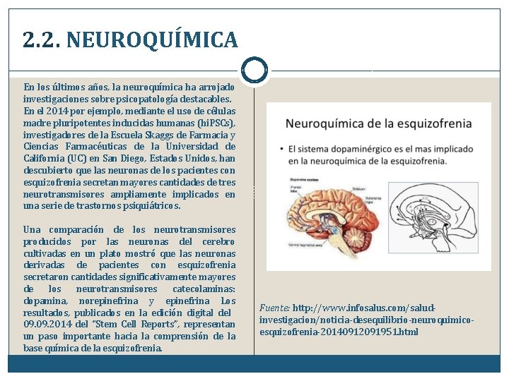 2. 2. NEUROQUÍMICA En los últimos años, la neuroquímica ha arrojado investigaciones sobre psicopatología