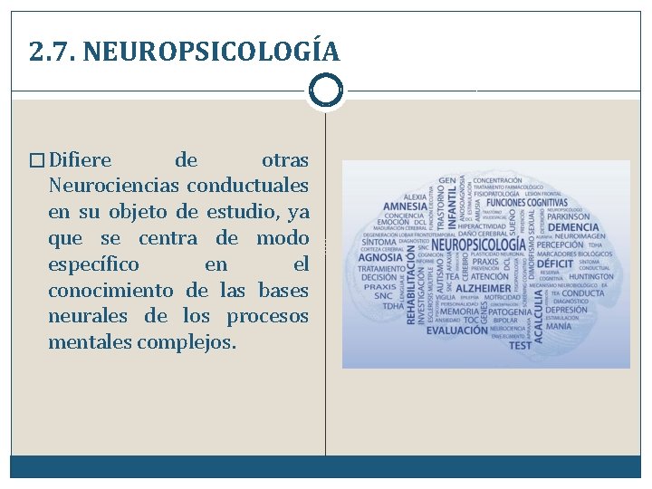 2. 7. NEUROPSICOLOGÍA � Difiere de otras Neurociencias conductuales en su objeto de estudio,