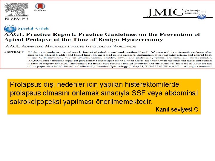 Prolapsus dışı nedenler için yapılan histerektomilerde prolapsus olmasını önlemek amacıyla SSF veya abdominal sakrokolpopeksi Prolapsus dışı nedenler için yapılan histerektomilerde prolapsus olmasını önlemek amacıyla SSF veya abdominal sakrokolpopeksi
