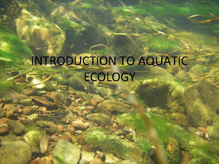 INTRODUCTION TO AQUATIC ECOLOGY 