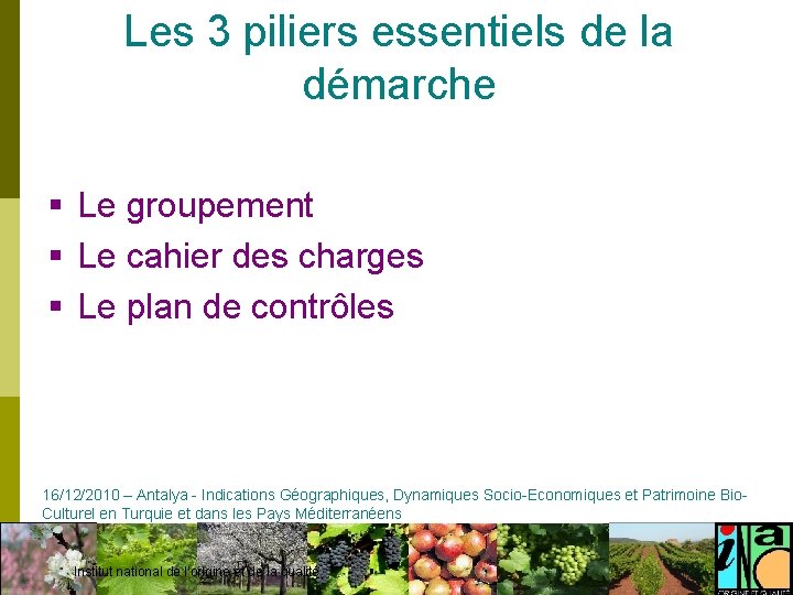 Les 3 piliers essentiels de la démarche § Le groupement § Le cahier des