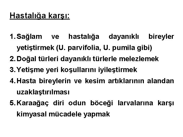 Hastalığa karşı: 1. Sağlam ve hastalığa dayanıklı bireyler yetiştirmek (U. parvifolia, U. pumila gibi)