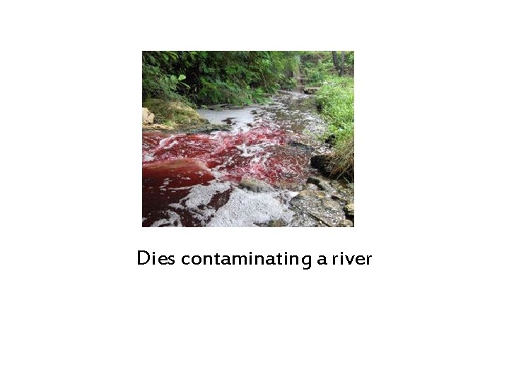 Dies contaminating a river 