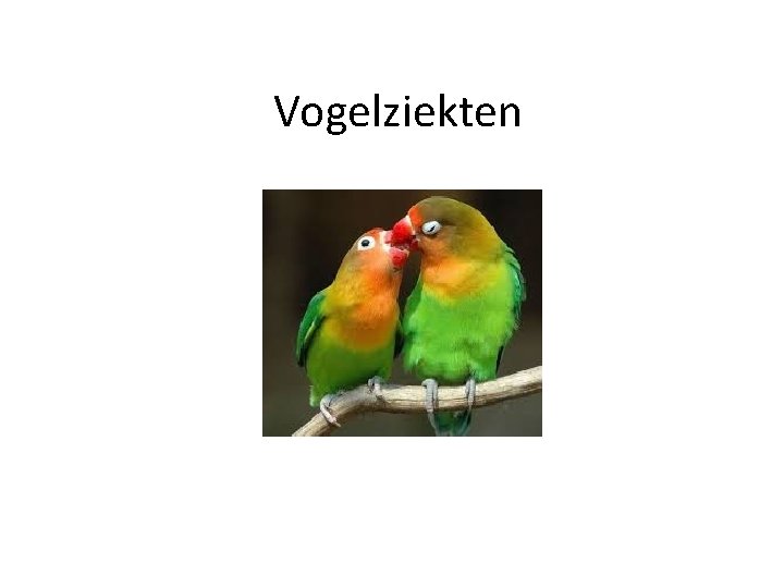 Vogelziekten 