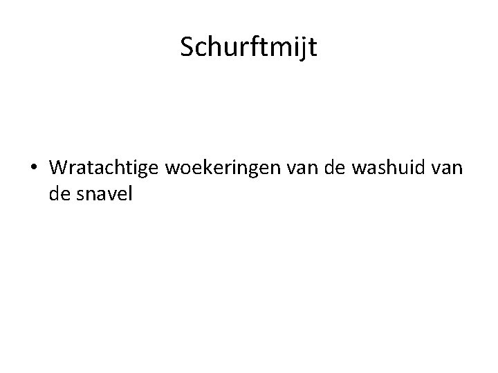 Schurftmijt • Wratachtige woekeringen van de washuid van de snavel 