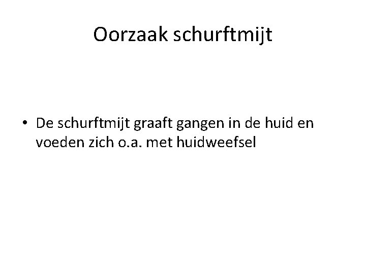 Oorzaak schurftmijt • De schurftmijt graaft gangen in de huid en voeden zich o.