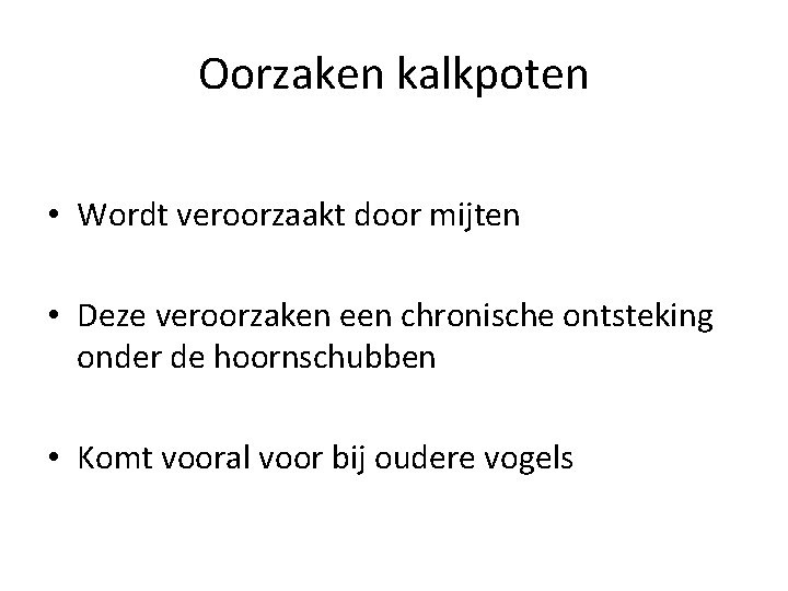 Oorzaken kalkpoten • Wordt veroorzaakt door mijten • Deze veroorzaken een chronische ontsteking onder