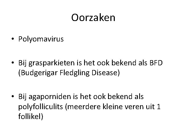 Oorzaken • Polyomavirus • Bij grasparkieten is het ook bekend als BFD (Budgerigar Fledgling