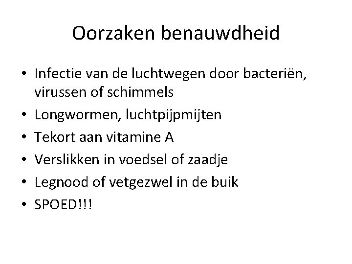 Oorzaken benauwdheid • Infectie van de luchtwegen door bacteriën, virussen of schimmels • Longwormen,