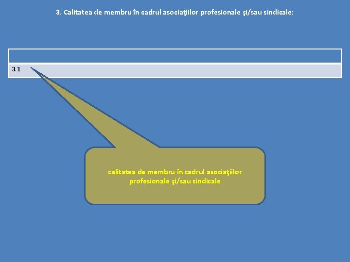 3. Calitatea de membru în cadrul asociaţiilor profesionale şi/sau sindicale: 3. 1 calitatea de