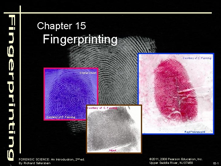 Chapter 15 Fingerprinting Courtesy of C. Fanning Crystal Violet Courtesy of C. Fanning Red