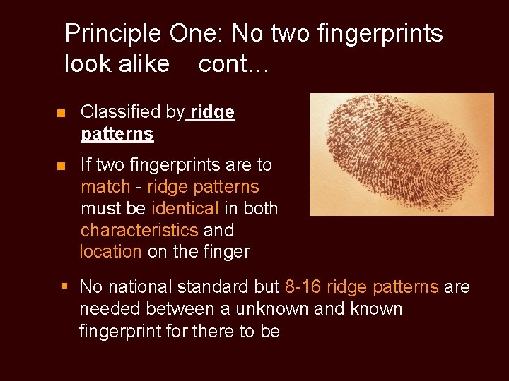 Principle One: No two fingerprints look alike cont… n Classified by ridge patterns n