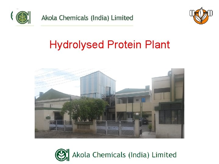 Hydrolysed Protein Plant 