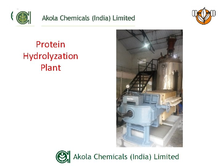 Protein Hydrolyzation Plant 