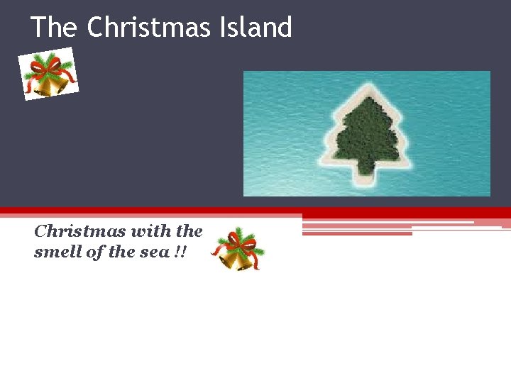 The Christmas Island Christmas with the smell of the sea !! The Christmas Island Christmas with the smell of the sea !!