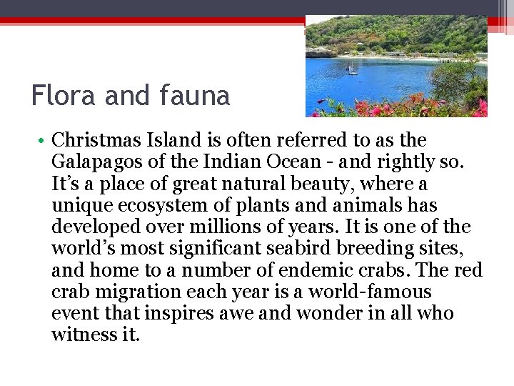 Flora and fauna • Christmas Island is often referred to as the Galapagos of Flora and fauna • Christmas Island is often referred to as the Galapagos of