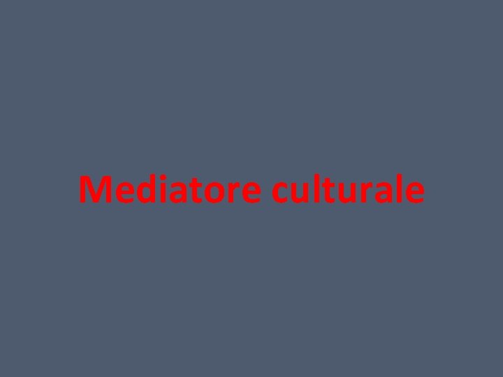 Mediatore culturale 