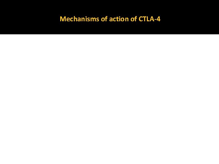 Mechanisms of action of CTLA-4 