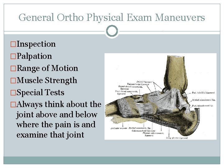 General Ortho Physical Exam Maneuvers �Inspection �Palpation �Range of Motion �Muscle Strength �Special Tests General Ortho Physical Exam Maneuvers �Inspection �Palpation �Range of Motion �Muscle Strength �Special Tests