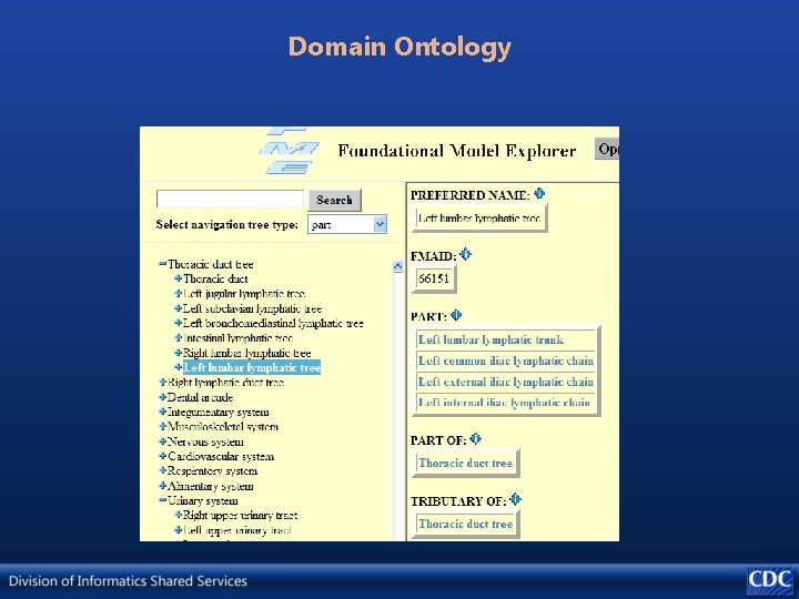 Domain Ontology 