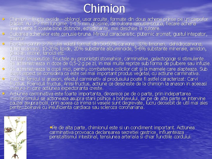 Chimion • Chimion – fructe ovoide – oblongi, usor arcuite, formate din doua achene