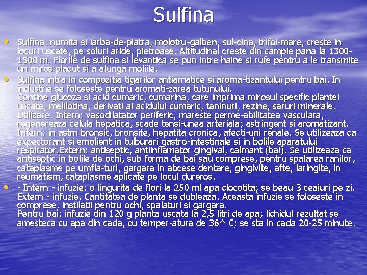 Sulfina • Sulfina, numita si iarba de piatra, molotru galben, sul cina, trifoi mare,