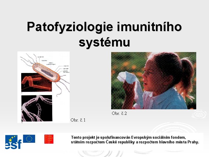 Patofyziologie imunitního systému Obr. č. 2 Obr. č. 1 Tento projekt je spolufinancován Evropským