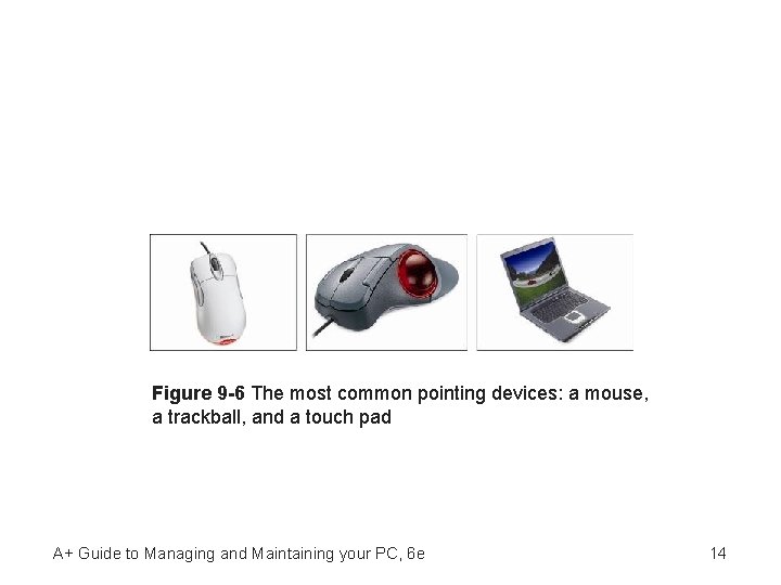 Figure 9 -6 The most common pointing devices: a mouse, a trackball, and a