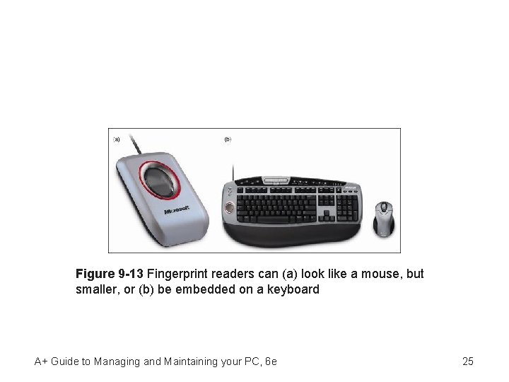 Figure 9 -13 Fingerprint readers can (a) look like a mouse, but smaller, or