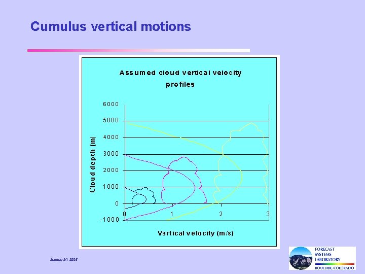 Cumulus vertical motions January 24, 2005 