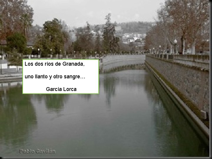 Los dos ríos de Granada, uno llanto y otro sangre… García Lorca 61 Carmen