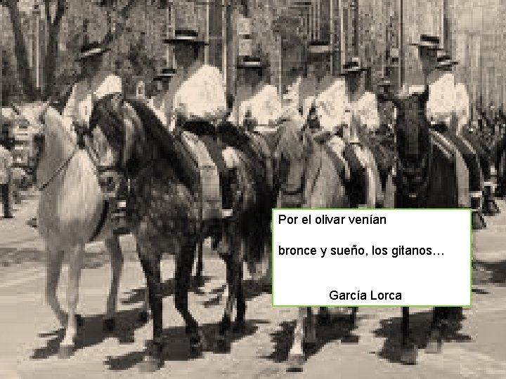 Por el olivar venían bronce y sueño, los gitanos… García Lorca 67 Carmen Andreu