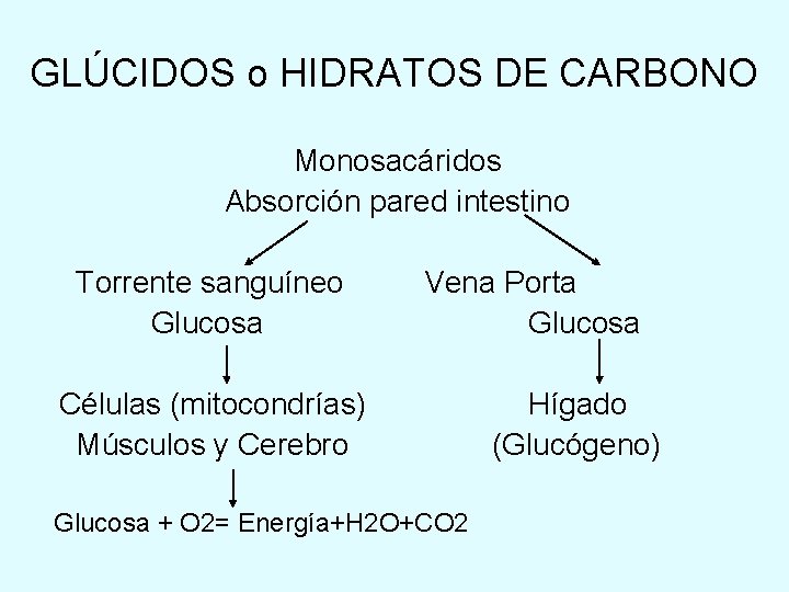 GLÚCIDOS o HIDRATOS DE CARBONO Monosacáridos Absorción pared intestino Torrente sanguíneo Glucosa Vena Porta