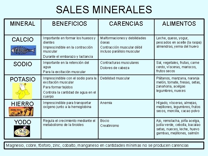 SALES MINERAL BENEFICIOS CALCIO Importante en formar los huesos y dientes Imprescindible en la