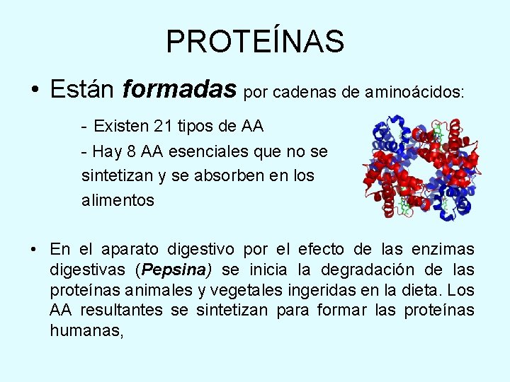 PROTEÍNAS • Están formadas por cadenas de aminoácidos: - Existen 21 tipos de AA