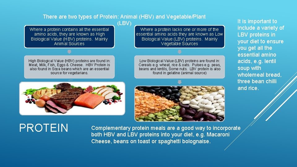 There are two types of Protein: Animal (HBV) and Vegetable/Plant (LBV) Where a protein