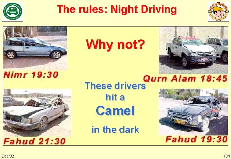 The rules: Night Driving Why not? These drivers hit a Camel in the dark