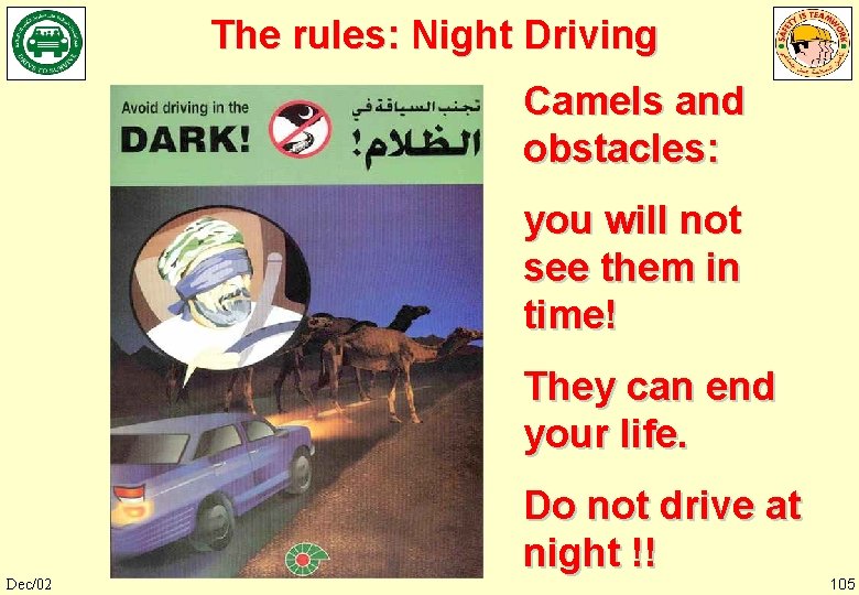 The rules: Night Driving Camels and obstacles: you will not see them in time!