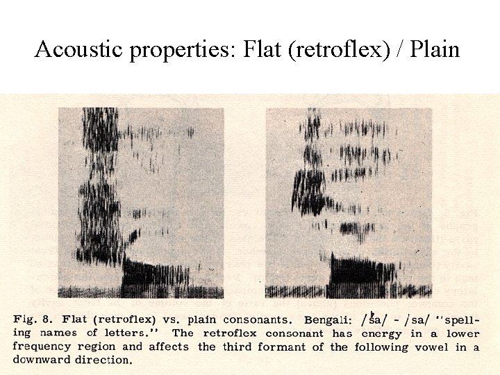 Acoustic properties: Flat (retroflex) / Plain Acoustic properties: Flat (retroflex) / Plain