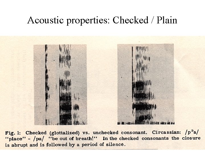 Acoustic properties: Checked / Plain Acoustic properties: Checked / Plain