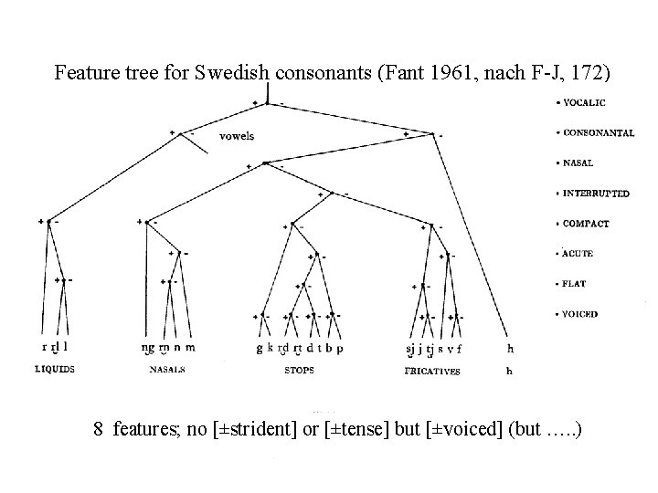 Feature tree for Swedish consonants (Fant 1961, nach F-J, 172) 8 features; no [±strident]