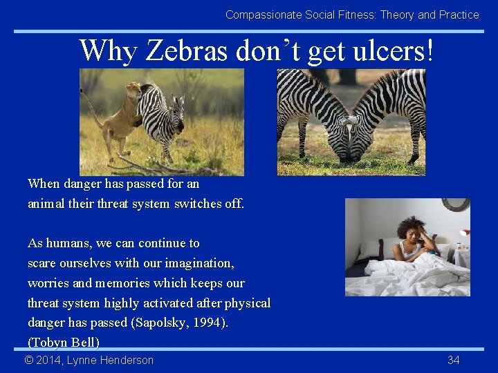 Compassionate Social Fitness: Theory and Practice Why Zebras don’t get ulcers! When danger has