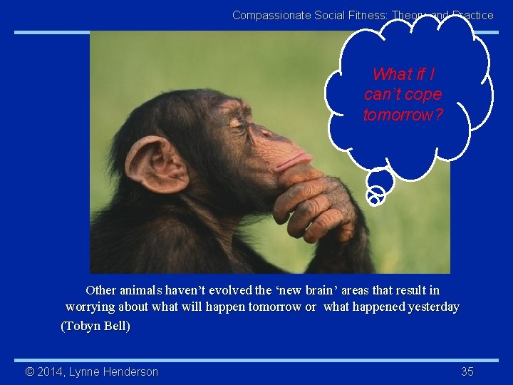 Compassionate Social Fitness: Theory and Practice What if I can’t cope tomorrow? Other animals